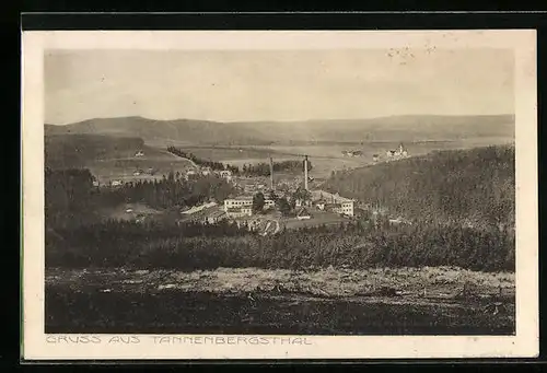 AK Tannenbergsthal, Ortsansicht aus der Vogelschau