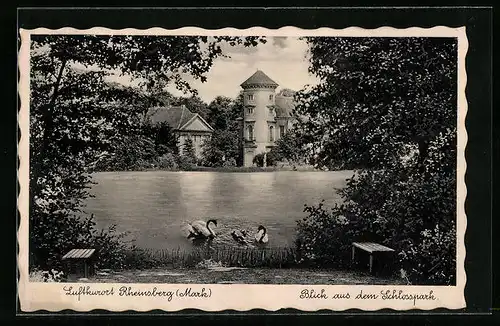 AK Rheinsberg / Mark, Seepartie im Schlosspark