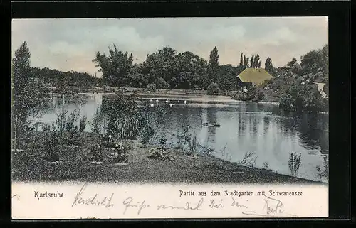 AK Karlsruhe, Stadtgarten mit Schwanensee