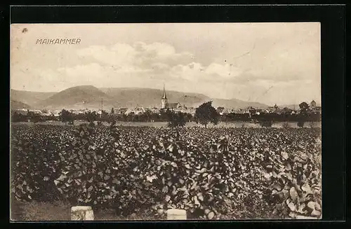 AK Maikammer, Ortsansicht mit Kirche