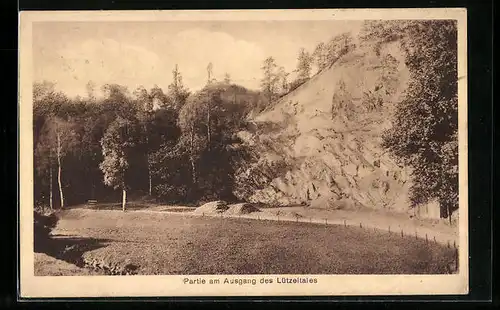 AK Frankenberg / Sa., Weg am Ausgang des Lützeltales