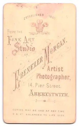 Fotografie E. Morgan, Aberystwith, 14 Pier Street, Bürgerliche Dame im Kleid mit Knöpfen