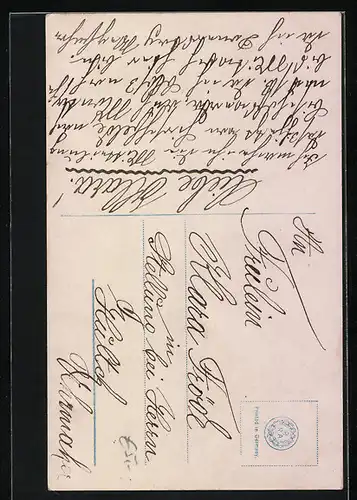 Foto-AK PFB: Junge Dame mit Blumen im Haar