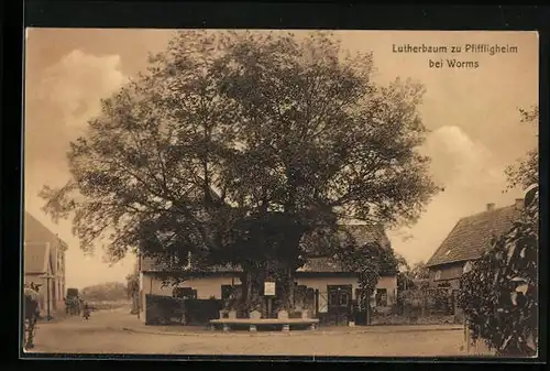 AK Worms, Lutherbaum zu Pfiffligheim
