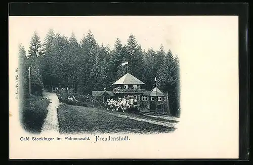 AK Freudenstadt, Cafe Stockinger im Palmenwald