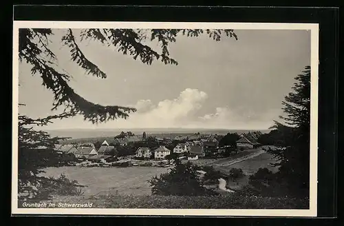 AK Grunbach im Schwarzwald, Teilansicht aus der Vogelschau
