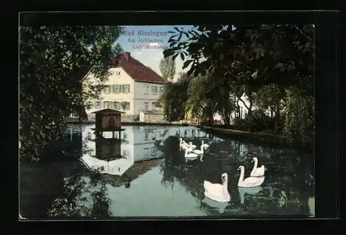 AK Bad Kissingen, Am idyllischen Liebfrauensee
