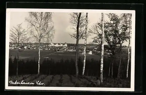 AK Babenhausen /Schw., Totalansicht mit Birken
