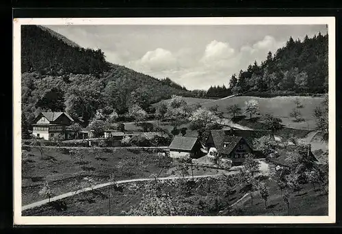 AK Brandeck-Lindle b. Offenburg, Ortspartie