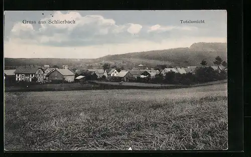 AK Schlierbach, Totalansicht von einem Feld aus