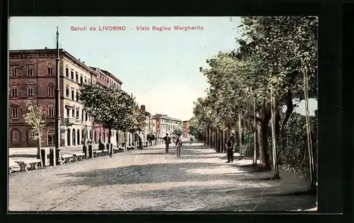 AK Livorno, Viale Regina Margherita