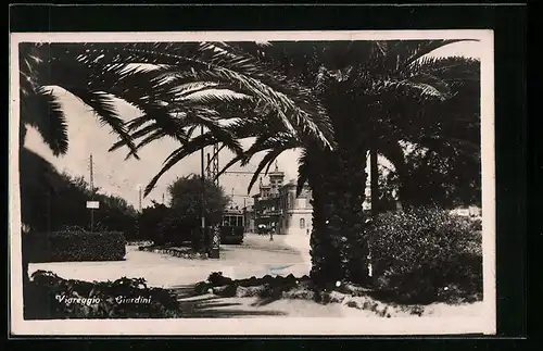 AK Viareggio, Ciardini