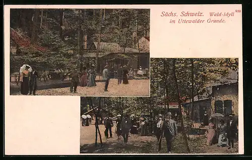 AK Lohmen i. Sächs. Schweiz, Wald-Idyll im Uttewalder Grund