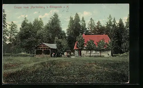 AK Hartenberg b. Elbingerode im Harz, Gasthaus am Waldrand gelegen