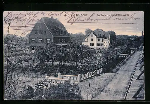 AK Bad Sassendorf, am Weg zur Charlottenquelle