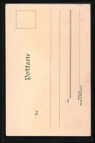 Lithographie Passau, Uferanlagen vor dem Rathaus