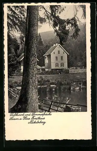 AK Seesen a. Harz, Blick zum Forsthaus Neckelnberg