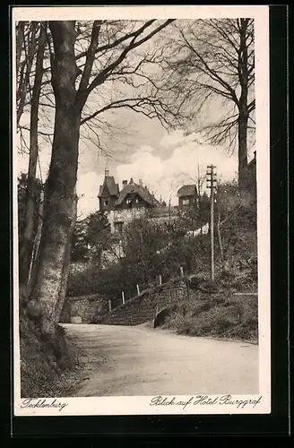 AK Tecklenburg, Blick auf das Hotel Burggraf