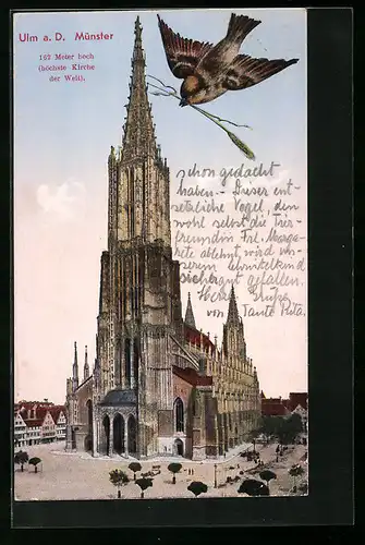 AK Ulm a. D., Münster mit Vogel