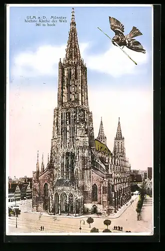 AK Ulm a. d., Münster mit Ulmer Spatz