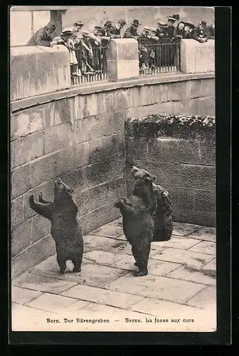 AK Bern, Der Bärengraben