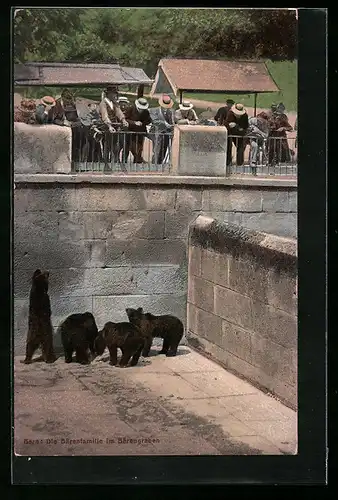 AK Bern, Die Bärenfamilie im Bärengraben