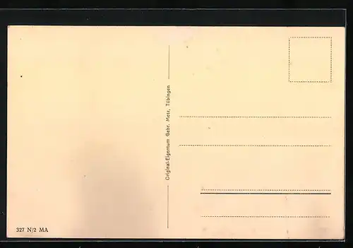 AK Vöhrenbach /Bad. Schwarzw., Gasthaus zur Friedrichshöhe