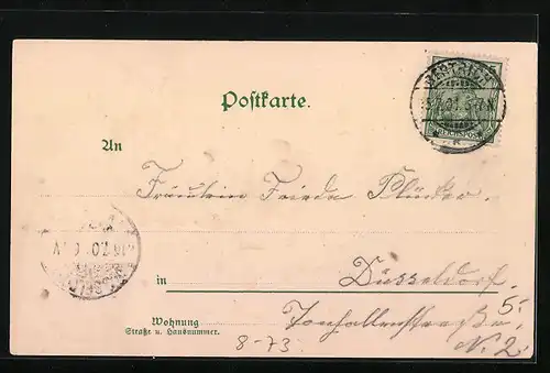 AK Neues Mosellied, Moselblümchen mit Weintrauben