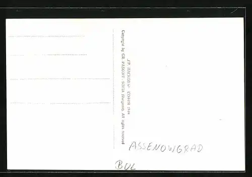 AK Assenowgrad, Panorama