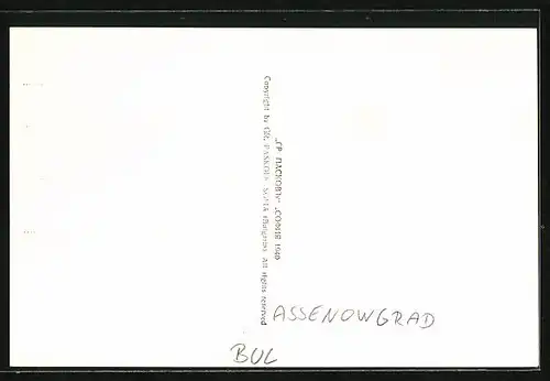 AK Assenowgrad, Panorama