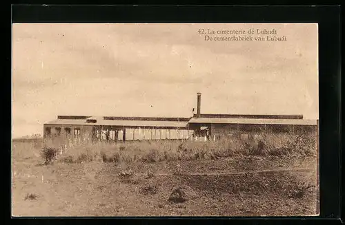 AK Lubudi, De cementfabriek, Ganzsache