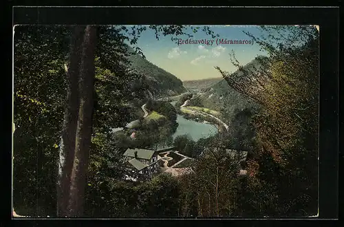 AK Erdészvögly /Mármaros, Panorama