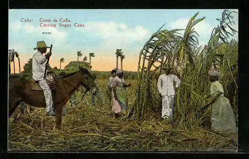 AK Cuba, Cutting Sugar Cane