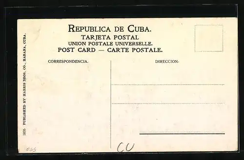 AK Habana, Indian Statue