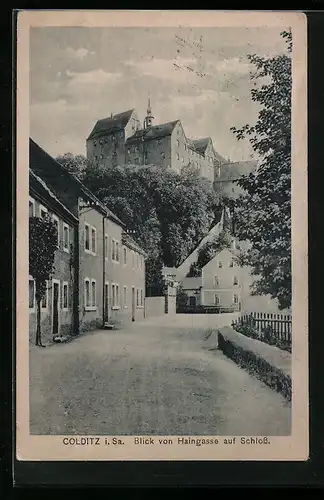 AK Colditz i. Sa., Blick von der Haingasse auf das Schloss