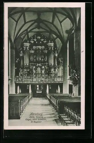 AK Merseburg, Innenansicht des Doms, Orgel