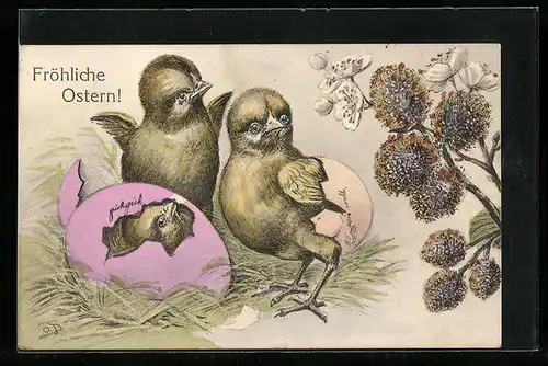 AK Osterküken schlüpfen aus den Eiern