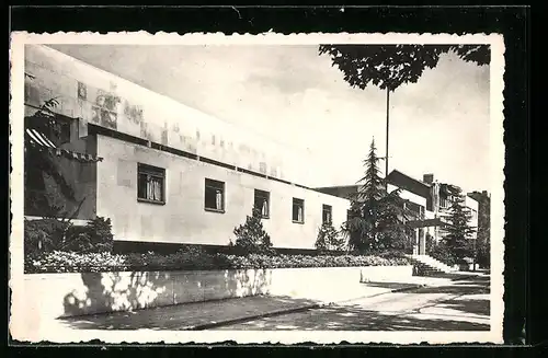 AK Alost, Bassin de natation