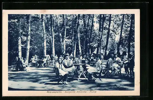 AK Acquasparta, Sorgente Amerino, Parco
