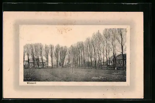 AK Witzwort, Ortspartie mit Bäumen und Häuser