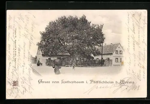 AK Pfiffligheim b. Worms, Blick zum Lutherbaum