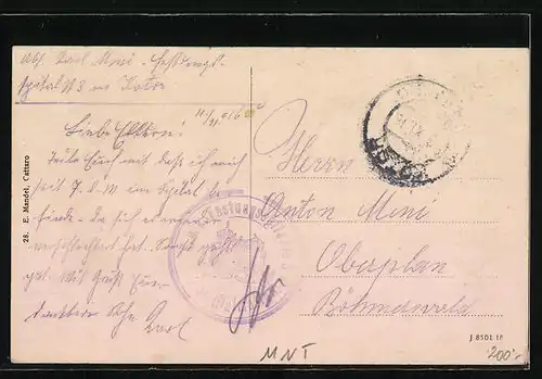 AK Kotor, Gesamtansicht der Stadt