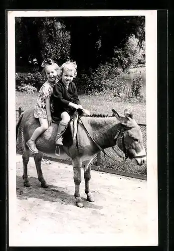 Foto-AK Zwei Kinder auf einem Eselchen