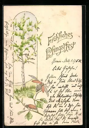 Präge-Lithographie Frühlingsidylle mit zwei Maikäfern, Pfingstgruss