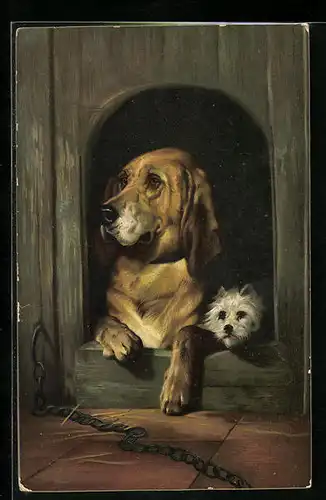 AK Basset und kleiner Terrier in einem Hundehaus