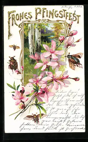 Präge-Lithographie Maikäfer und Blütenzweig, Birken am Wasser, Pfingstgruss