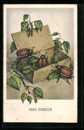 AK Drei Maikäfer an einer geöffneten Zigarrenkiste, Pfingstgruss