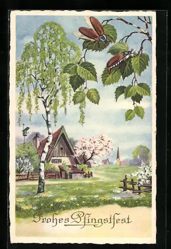 AK Frühlingsidylle mit Maikäfern auf Birkenblättern, Pfingstgruss