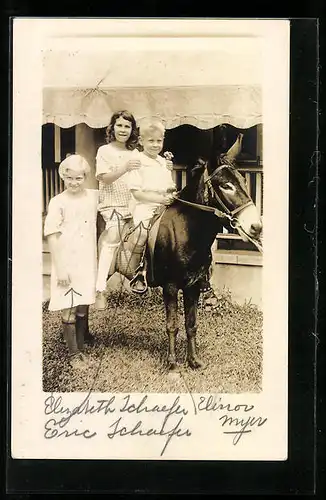 Foto-AK Drei Kinder mit einem Esel