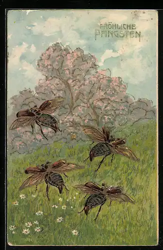 Präge-AK Fliegende Maikäfer über einer Wiese, Pfingstgruss